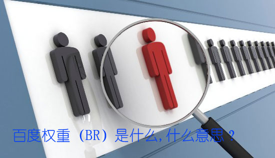 权重是什么