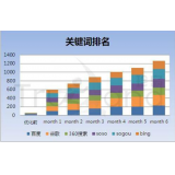 文登如何防止SEO关键词排名下降